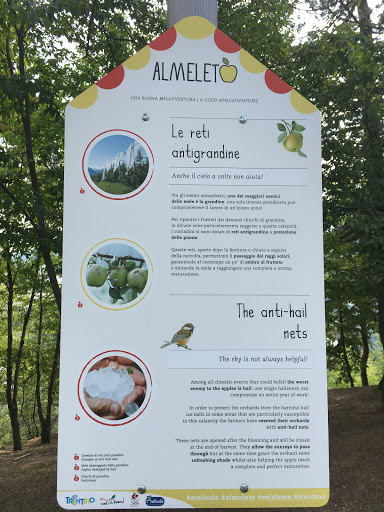 PERCORSO LUDICO DIDATTICO AL MELETO