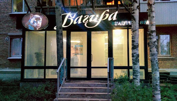 Багира ул ленина 17 фото