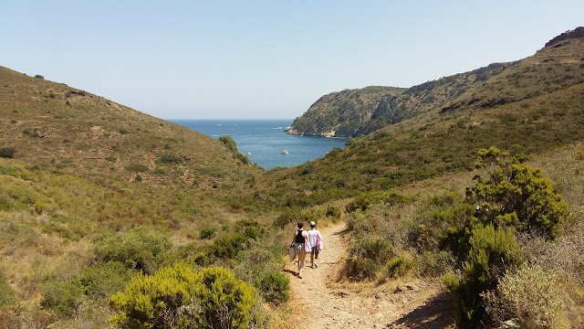 Platja Cala Canadell