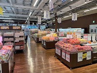 スーパーセンタートライアル岩出店