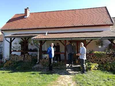 Photos of Csengettyűs Guest House