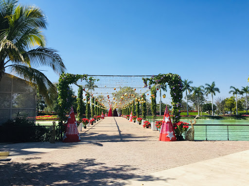 Lago Central - Visual