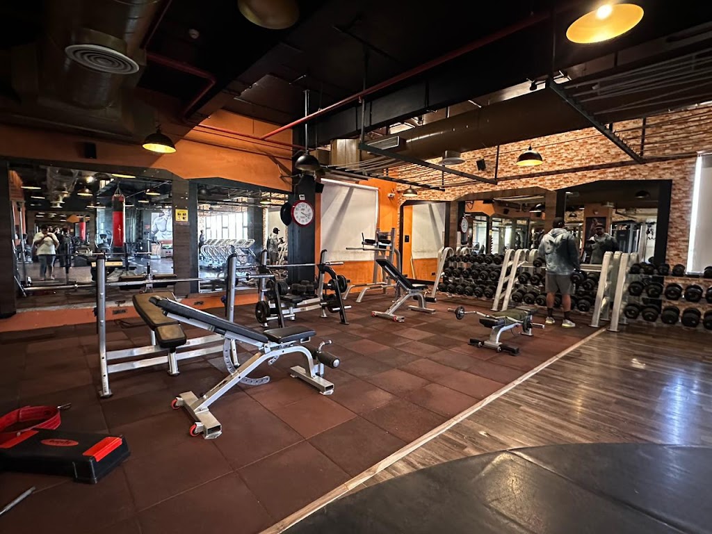 Big Fitness Vip Road