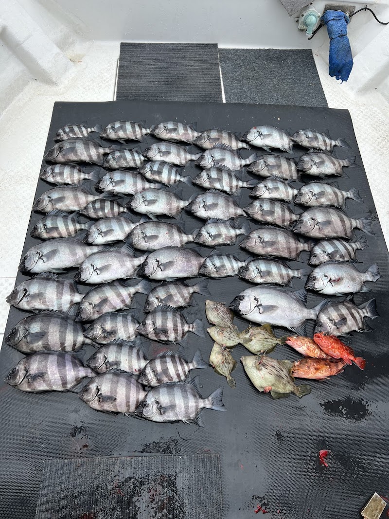 淡路島釣り船【廣田丸】