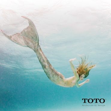 The QUO VADIS Agency (QV) by null