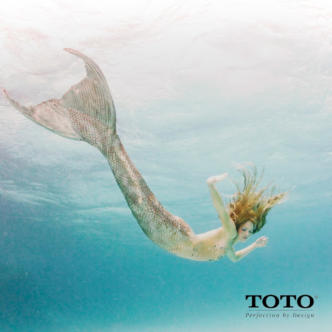 The QUO VADIS Agency (QV) by null