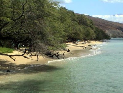 Pāpalaua State Wayside Park