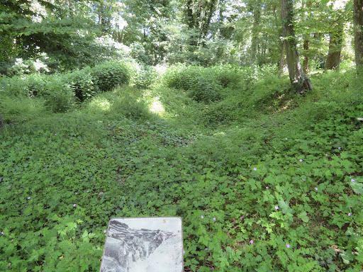 Bois de Wallieux - Thumbnail