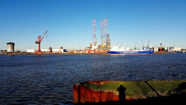 Vondelingenplaat