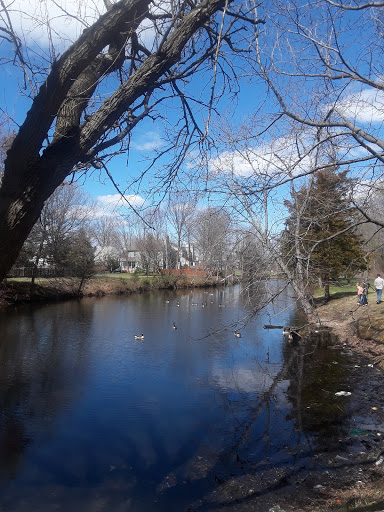 Evesboro Downs - Thumbnail