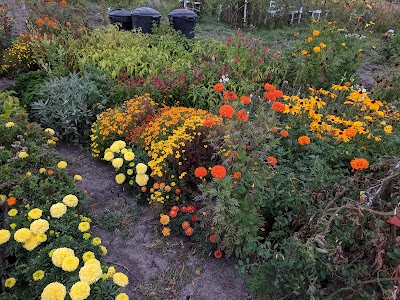 Wildflower Grove Park