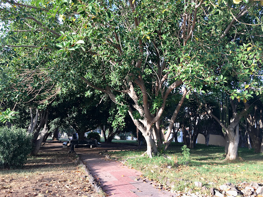 Parque La Paz - Thumbnail