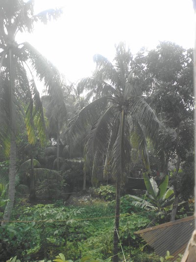 Photos of Noor A Modina Hotel