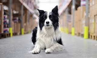 eCommerce Fulfilment UK | Cloud9 Fulfilment