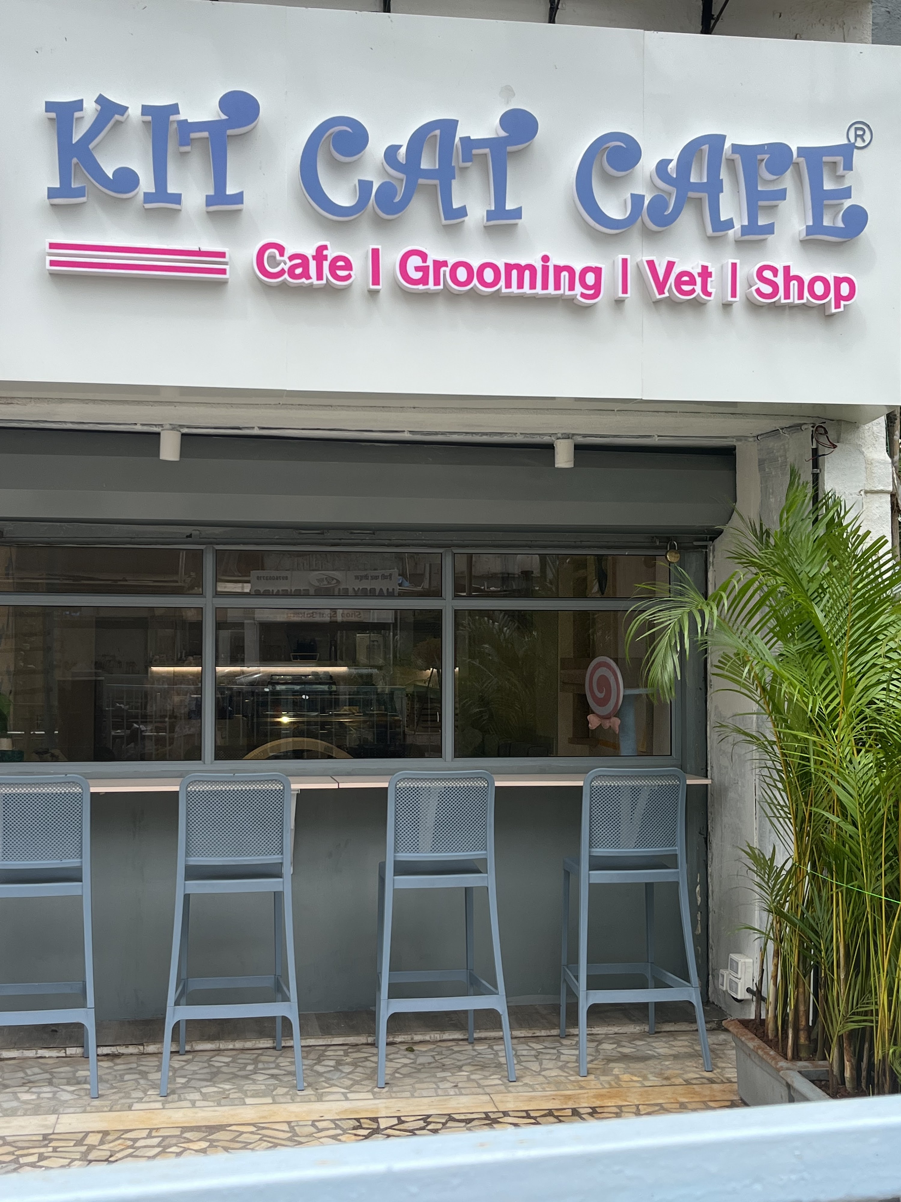 KIT CAT CAFE - Pet-Friendly Café in Mumbai