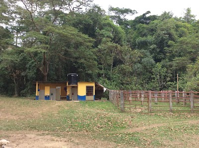 Photos of Finca La Muralla