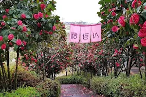 달빛소리 수목원 image