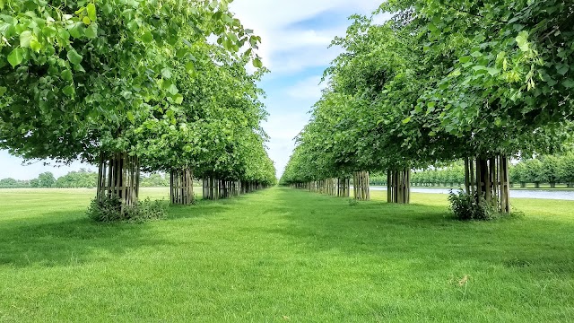 Hampton Court Palace