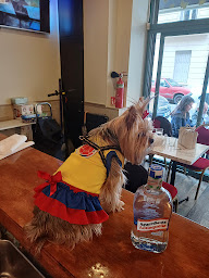 Photo n°7 de Macondo à Paris (Restaurant latino-américain)