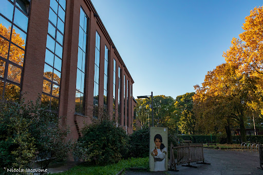 Associazione Scuole Tecniche San Carlo Logo