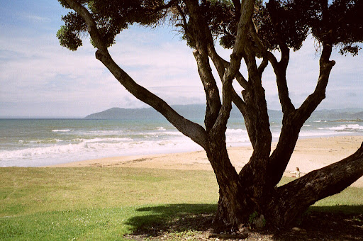 Cable Bay Beach - Thumbnail