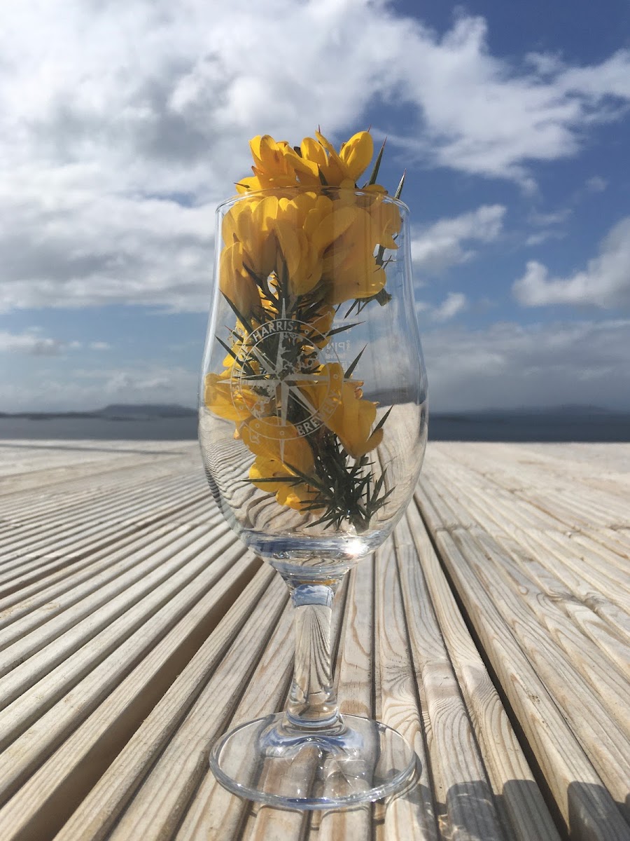 Isle of Harris Brewery — photo 9