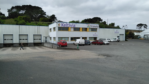 Keltivia - Visual