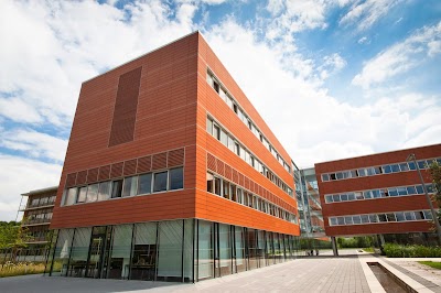 university