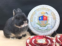 ブリーダー直営アメリカンラビット専門店 シーズラビトリー