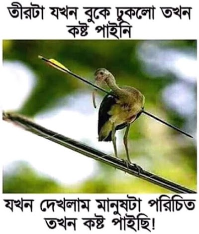 Photos of Alif Gardden