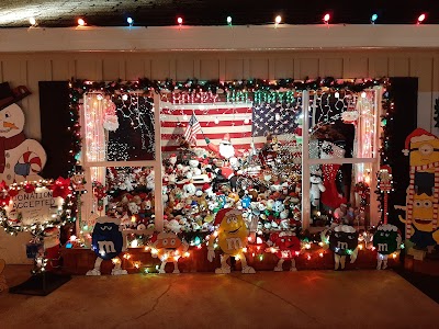 Winter Lights Show