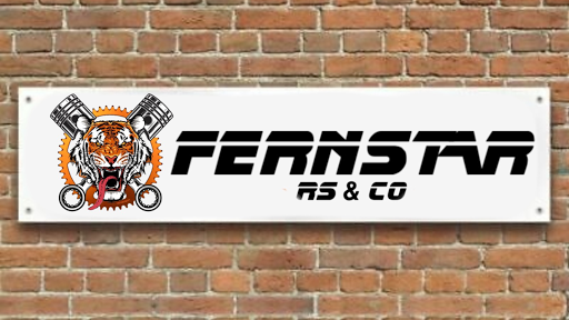 Fernstar RS