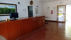 Hotel El Bosque 3