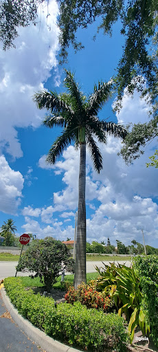 Boca Raton Regional Hospital : Regional Imaging Gallery - United States
