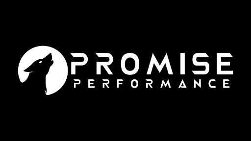 Promise Performance - Thumbnail
