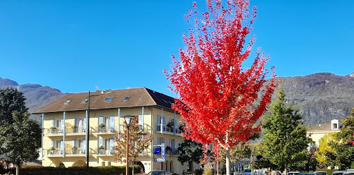 Photo de Hôtel Les Suites du Lac à Brison-Saint-Innocent (73100)