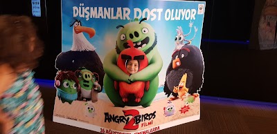 Avsar Film