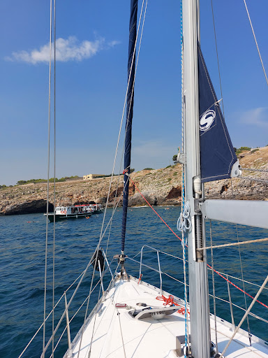 Morgana Sailing - Visual