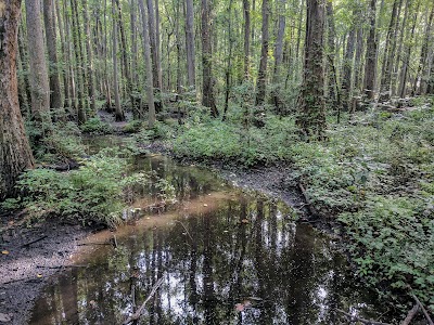 Florence Rail Trail - McLeod Entrance