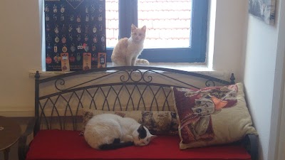Photos of Hayat Veteriner Kliniği