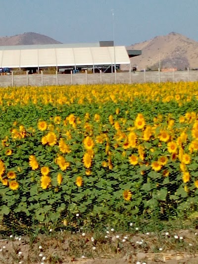 Photos of Terminal Marval Santiago