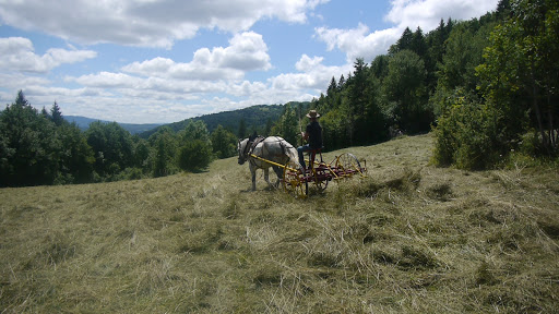 La petite ferme de chanon