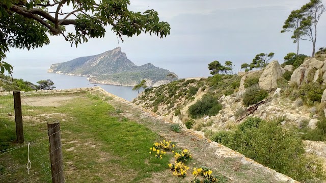 Platja de Sant Elm