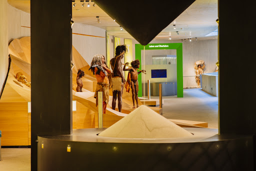 Neanderthal Museum