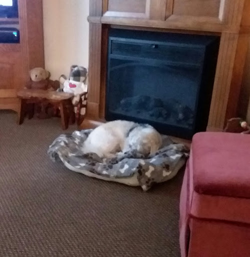 Dawson Veterinary Clinic - Thumbnail