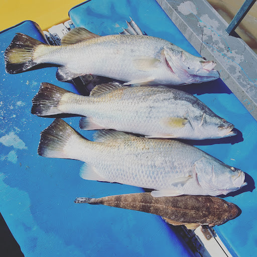 Fairdinkum Fishing Charters Gallery - Australia