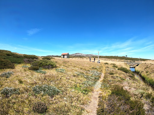 Cope Saddle Camping Area