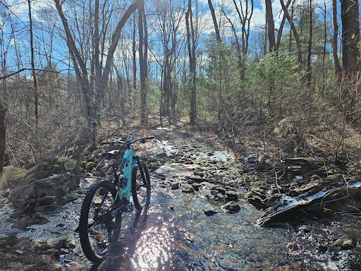 Quisset Wildlife Management Area