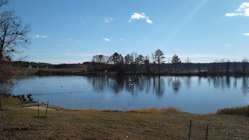 Overlook Point Boat Ramp - Thumbnail