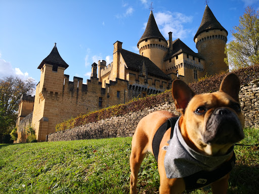 Tourisme avec mon chien - Thumbnail